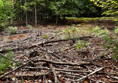 0 Father Rasle Rd, Norridgewock, ME 04957 - photo 2