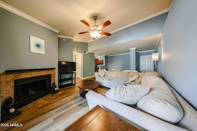 Gas Fireplace