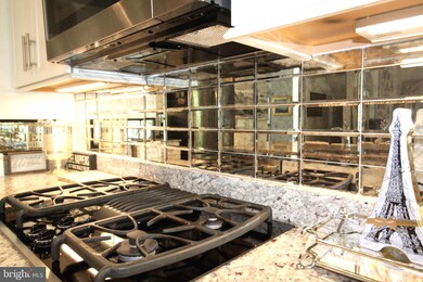 313 Upper Heyford Place, Purcellville, VA 20132 - photo 2