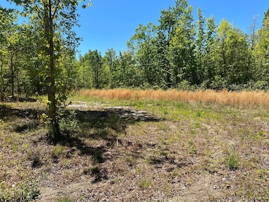 Lot J McCartt Ridge Ln, Sunbright, TN 37872 - photo 3