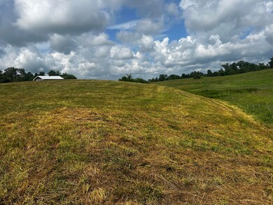 IMG_6928