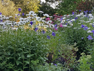 134 Brindle Cir, South Portland, ME 04106 - photo 5