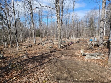 0 Sumner Rd, Paris, ME 04281 - photo 6