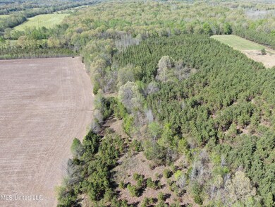 DJI_0170