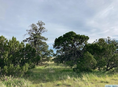 25 Coyote Trail unit 180, Datil, NM 87821 - photo 3