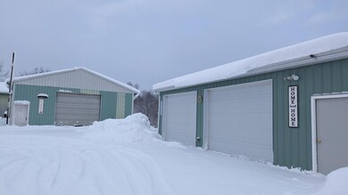 Exterior - Backyard 2024