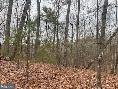 0 Brawley unit VASH2007464, Basye, VA 22810 - photo 2