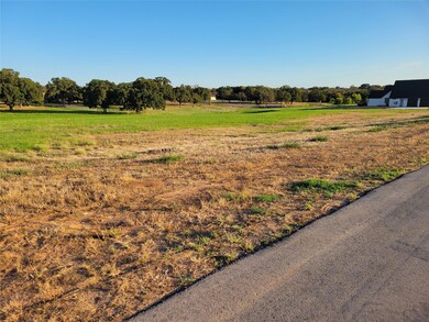 4004 Margaret's Meadow, Weatherford, TX 76087 - photo 6