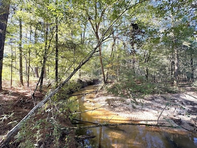 2080 County Road 1100, Woodville, TX 75979 - photo 3