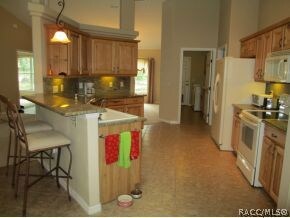 Gourmet Kitchen #2