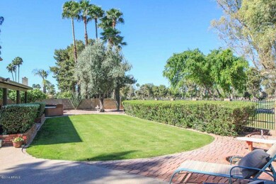 Backyard2