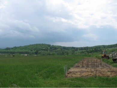 0 Ellsworth Dr unit 194160, Montrose, PA 18801 - photo 4