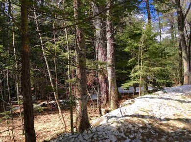 Ridge 0 unit 26, Eaton, NH 03832 - photo 2