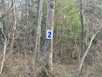 Lot 2 Radford Rd, East Bernstadt, KY 40729 - photo 2