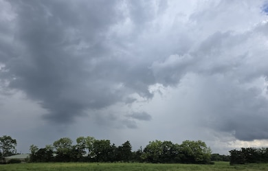 5544 Sinclair St, Murfreesboro, TN 37127 - photo 3