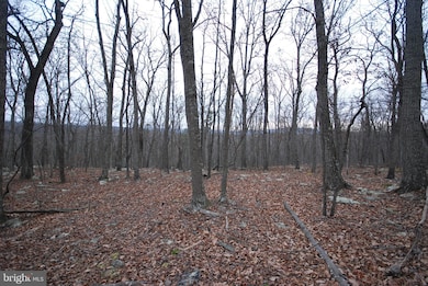 Lot 88 Wakeman Dr, Augusta, WV 26704 - photo 7