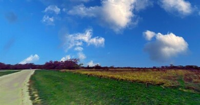 19072 White Bluff Dr, Whitney, TX 76692 - photo 2