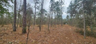 000 SW 92nd Place, Dunnellon, FL 34432 - photo 2