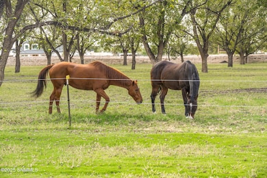 7003 Mcnutt Rd, Anthony, NM 88021 - photo 7