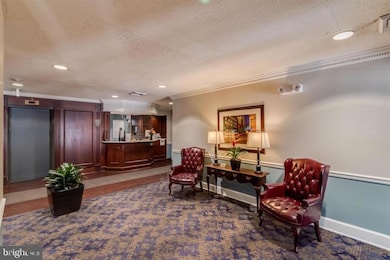 St. Paul at Chase Condominiums unit 301, Baltimore, MD 21202 - photo 6