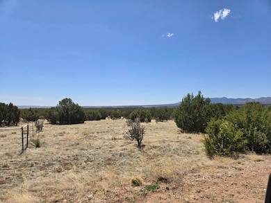 0 County Rd A102 unit 15, Tajique, NM 87016 - photo 5