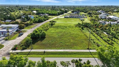 Drone / aerial view of a tree filled landscape