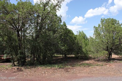 2612 Mescalero Dr, Show Low, AZ 85901 - photo 3