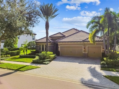 1446 Via Verdi Dr, Palm Harbor, FL 34683 - photo 7