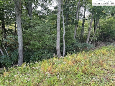 405 Firethorn Trail, Blowing Rock, NC 28605 - photo 6