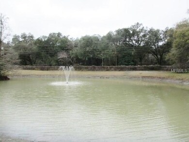 6226 Massey Rd, Zephyrhills, FL 33542 - photo 5