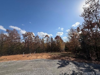 24 Summer Tyme Dr, Greenbrier, AR 72058 - photo 2