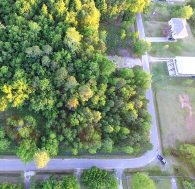 DJI_0012
