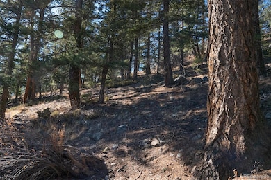 11722 Braun Way, Conifer, CO 80433 - photo 7