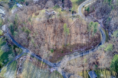 8321 Poplar Springs Ln, Roanoke, VA 24018 - photo 5