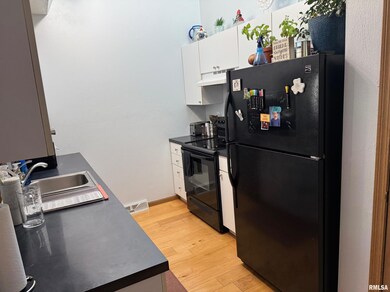 2605 S Chase Dr, Springfield, IL 62704 - photo 5