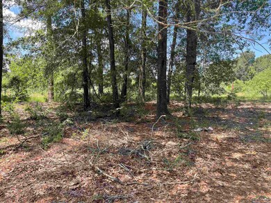 View of wooded area
