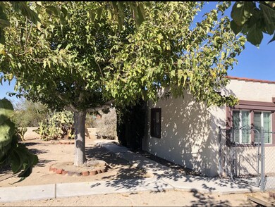 Unit A Front Yard
