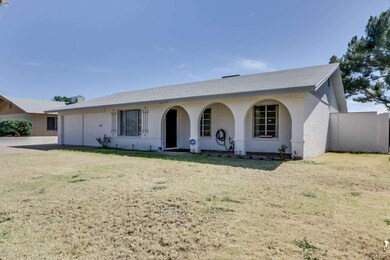 Large grassy front yard