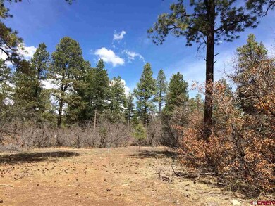 0 Engine Creek Ct unit 731546, Durango, CO 81301 - photo 3