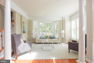 4706 Barnum Ln, Alexandria, VA 22312 - photo 5