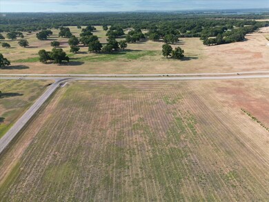 152 Westmeadow Dr, Weatherford, TX 76087 - photo 7