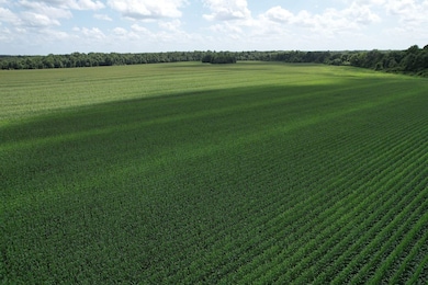 0 Attala Road 4110 unit 24269942, Sallis, MS 39160 - photo 6