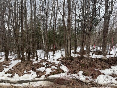 Bigelow Rd 3
