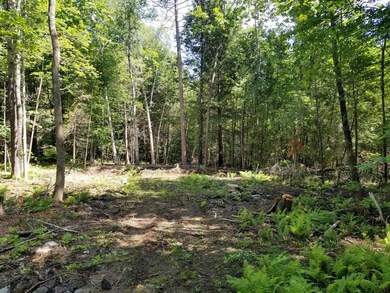 Map 13-3 Lot 16-1 Loring Hill Rd, Buckfield, ME 04220 - photo 3
