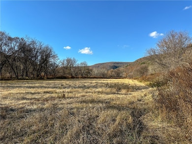 VL County Route 119 N, Cameron, NY 14819 - photo 5