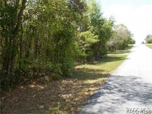 unlisted-address, Hernando, FL 34442 - photo 6