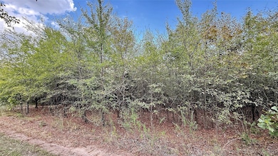 2 S 4531 Rd, Vian, OK 74962 - photo 5