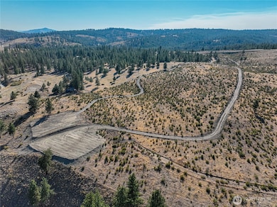 0 Evergreen Camp Rd Parcel C, Chelan, WA 98816 - photo 2