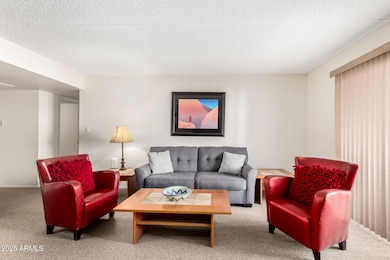 07 - Camelback 10-28-25