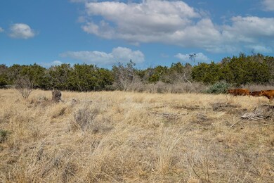 5 E Lower Crabapple Rd unit 5, Fredericksburg, TX 78624 - photo 4